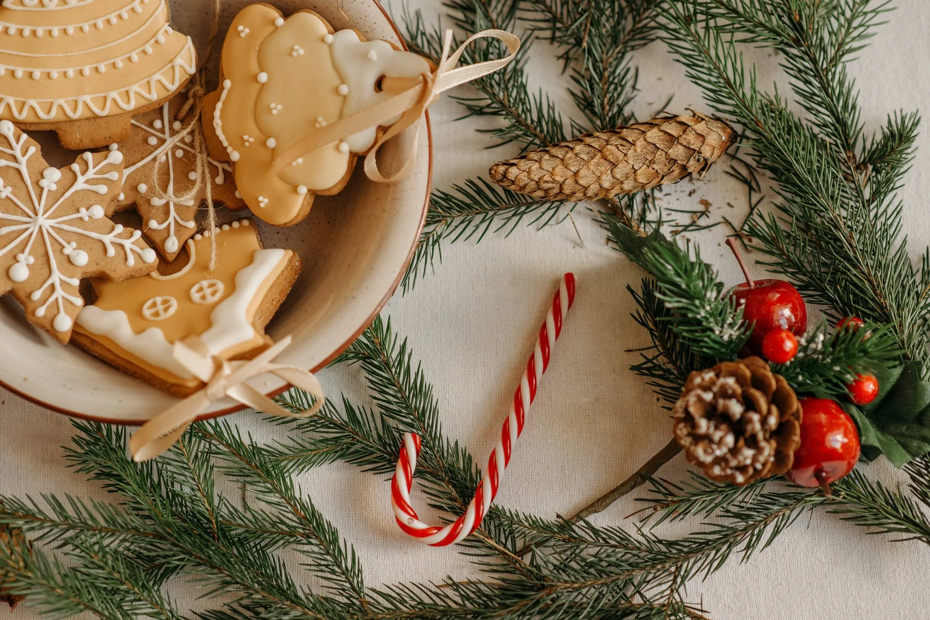 Decorate Your Sarasota Home for Christmas!