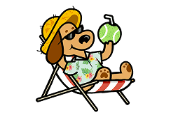 4Paws Country Kennel