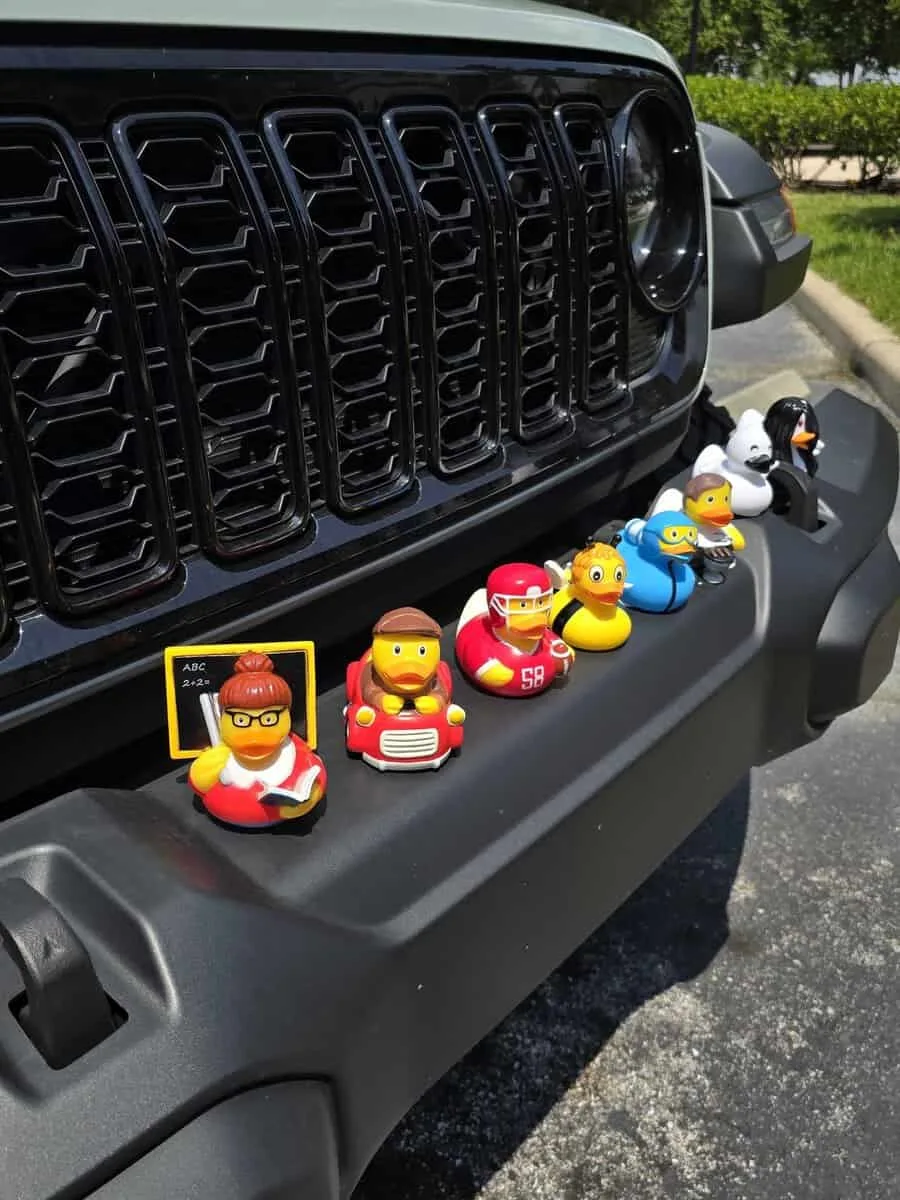 multiple ducks on jeep