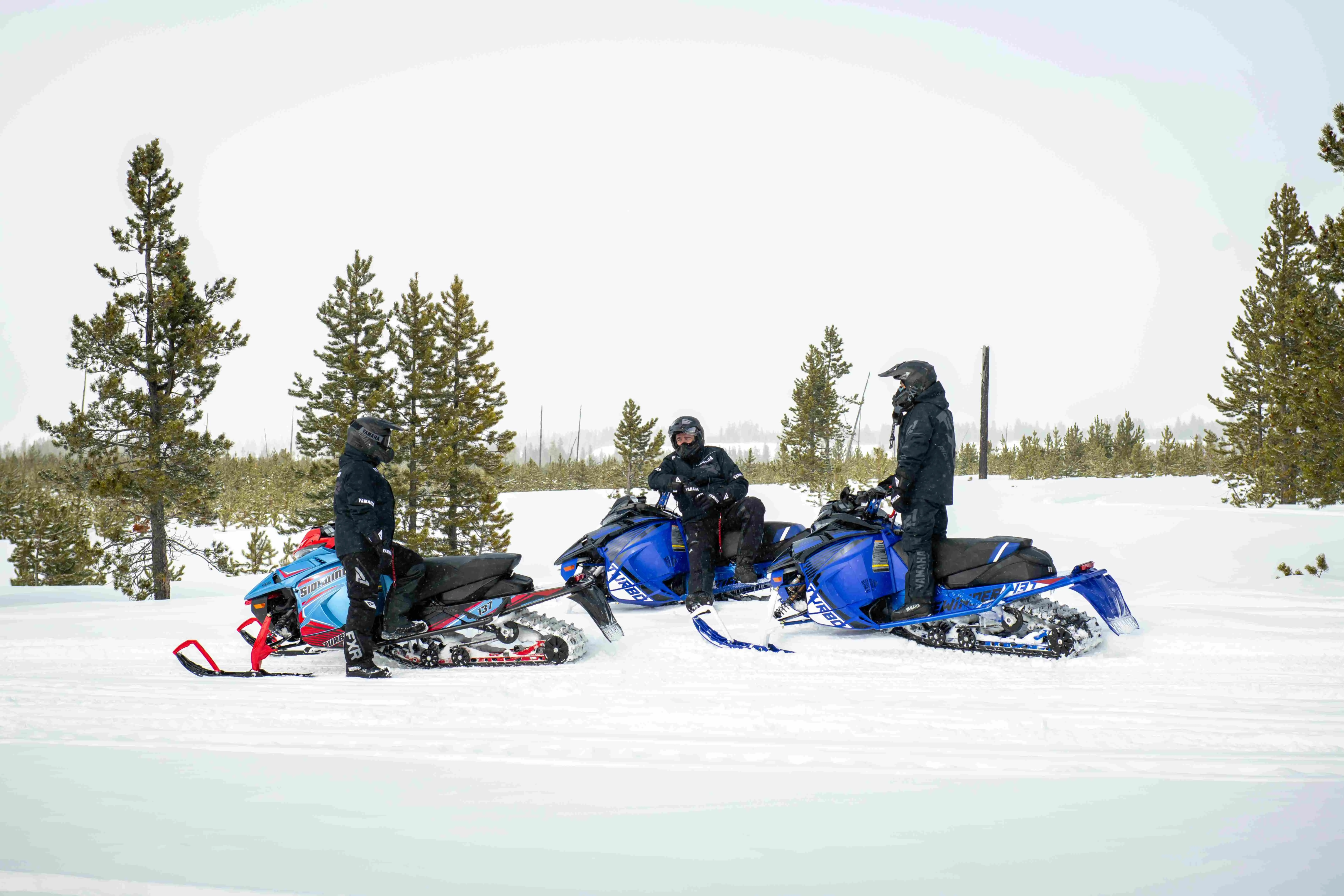 Shop New Snow
